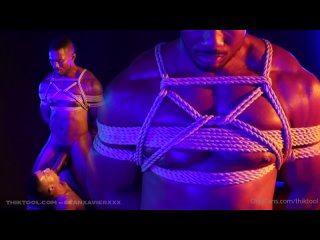 sean xavier hot tease
